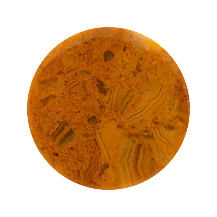 Oracle Body Jewelry Mayan Style Stone Plugs Crazy Lace Agate Earrings